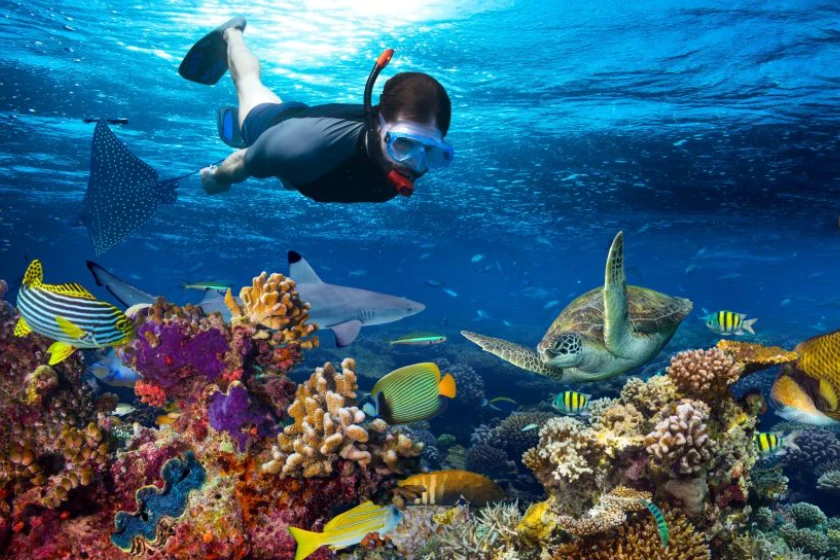 5 Days Zanzibar Holiday