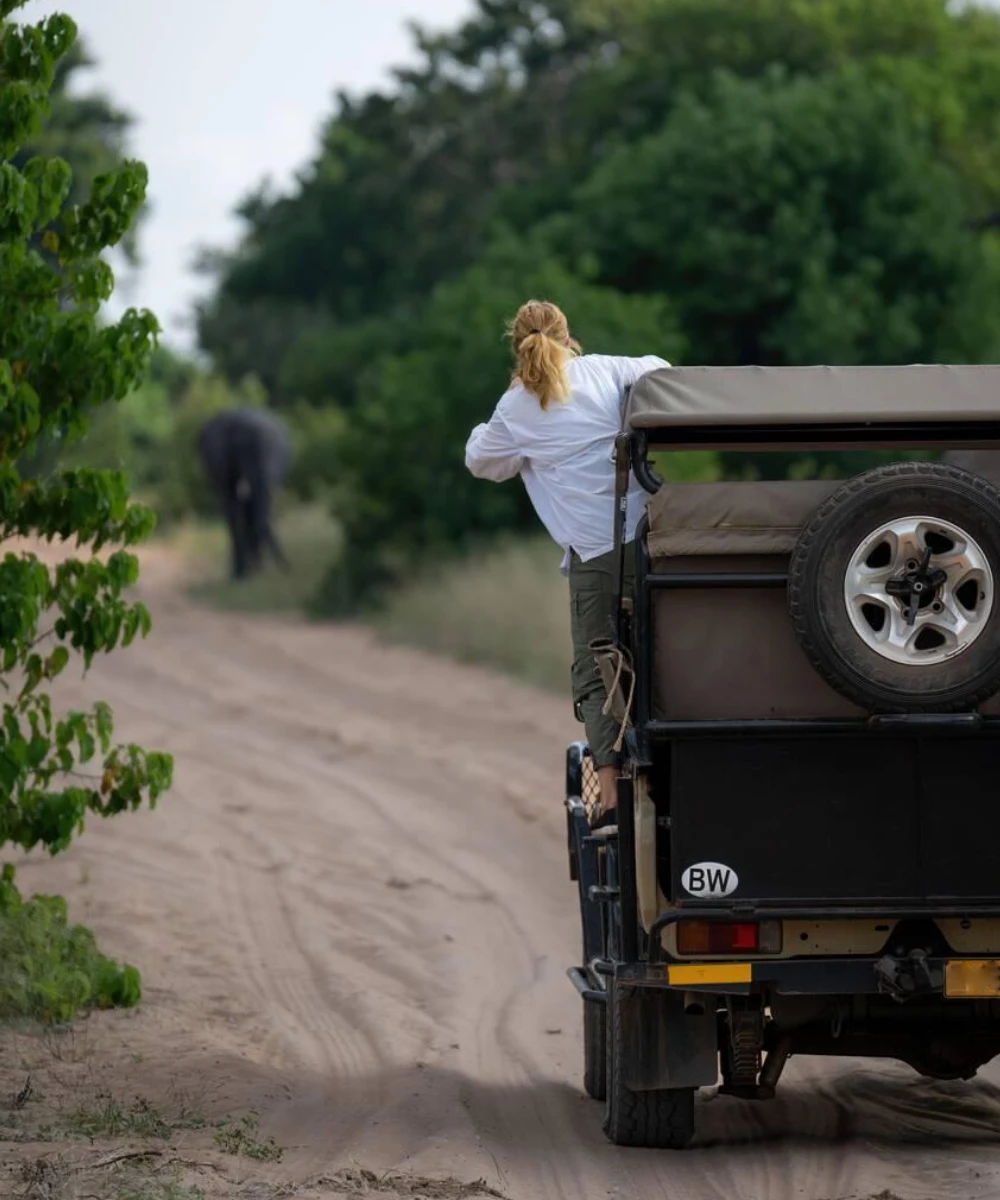 Botswana Game Drive Safari