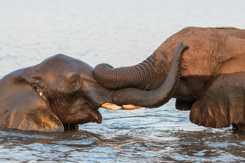 Botswana Attractions