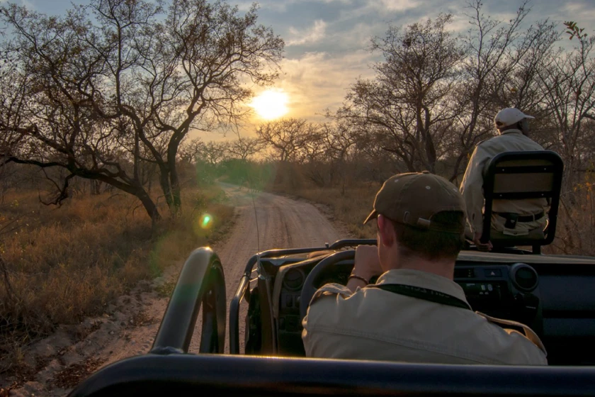 Kruger National Park Game Drive