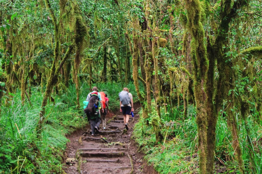 7 Days Umbwe Route