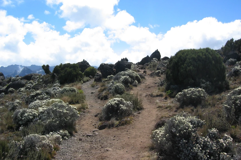 8 Days Rongai Route