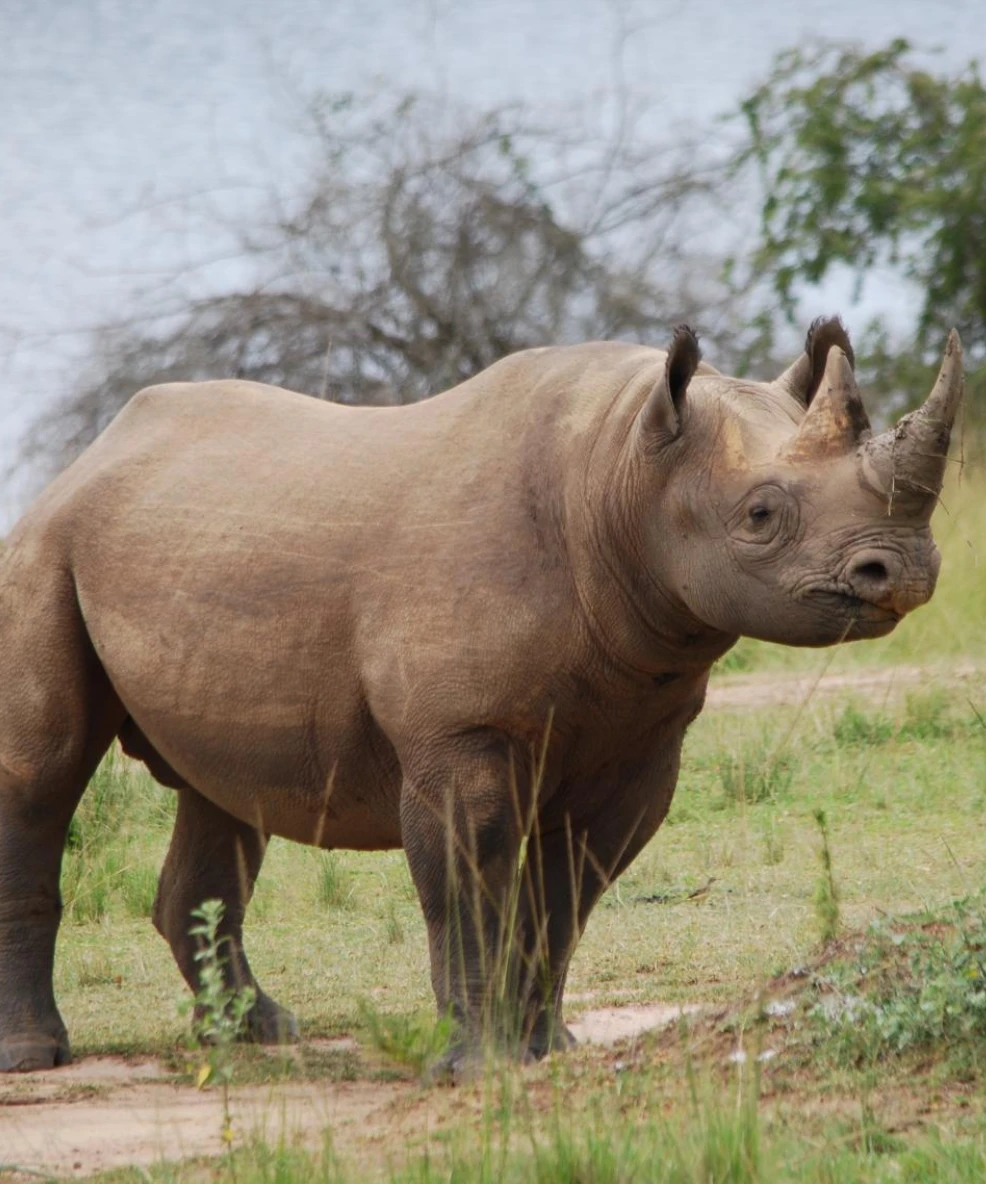 Akagera National Park