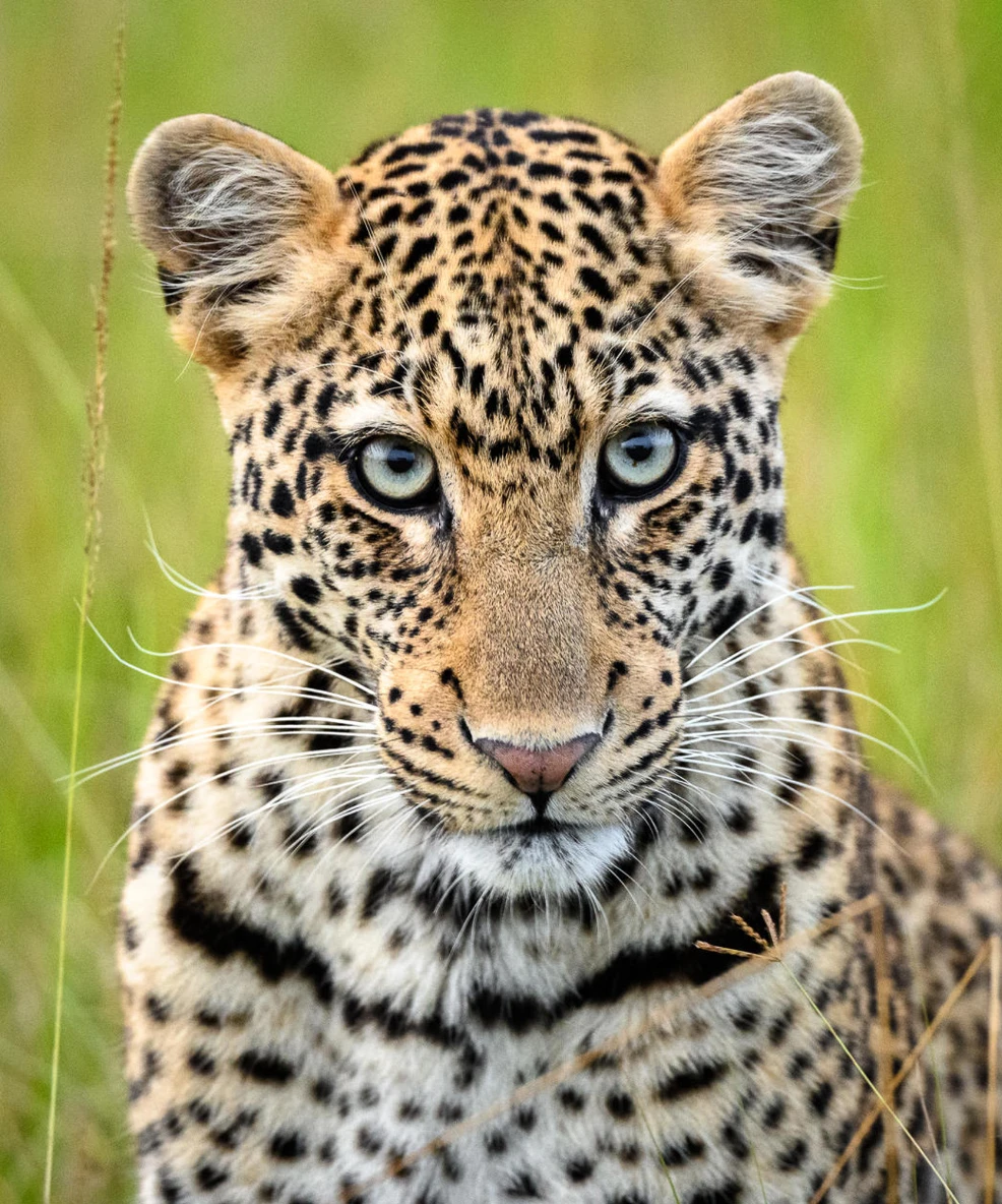 Akagera National Park