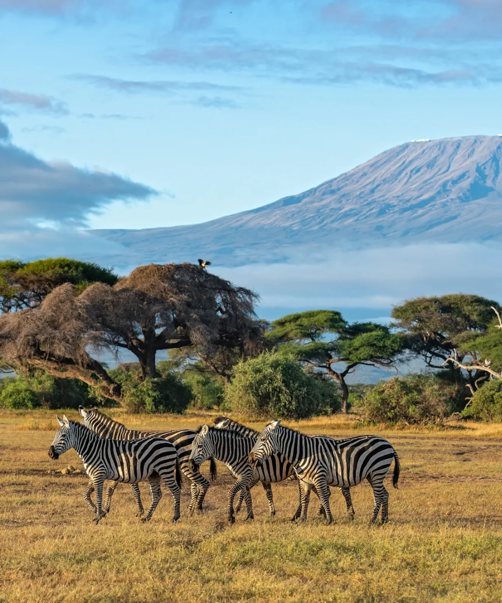 Amboseli National Park