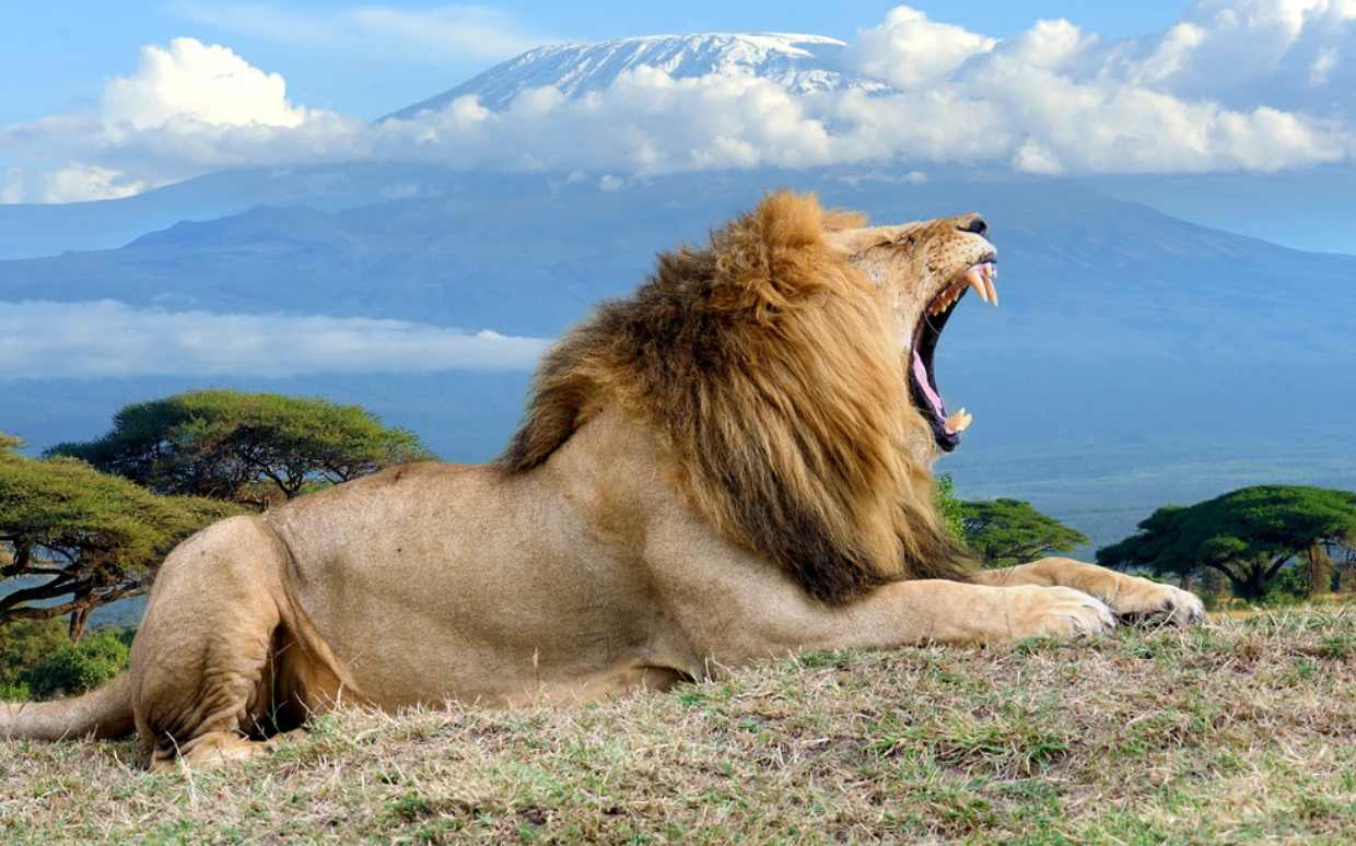 Amboseli National Park