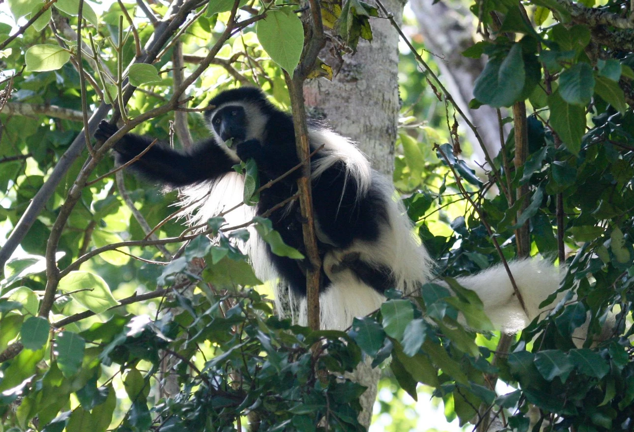 Arusha National Park