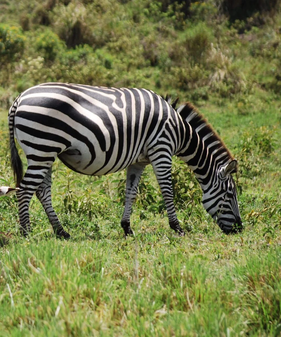 Arusha National Park