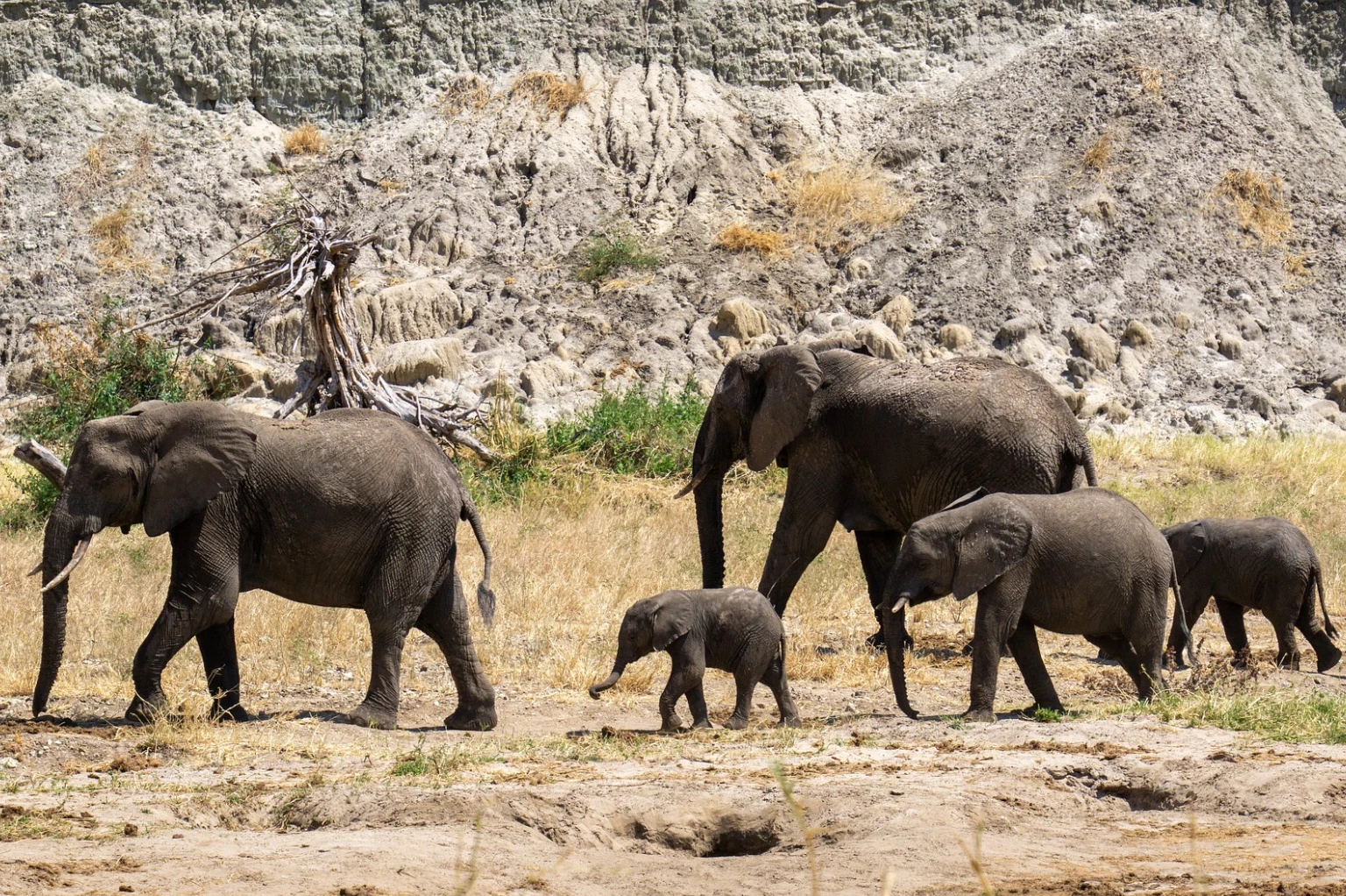 Best Time To Visit Tanzania