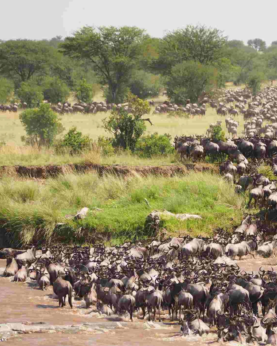 Best Time To Visit Tanzania