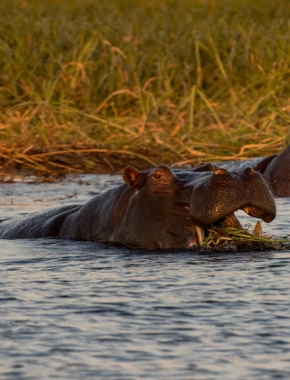 Botswana Destinations