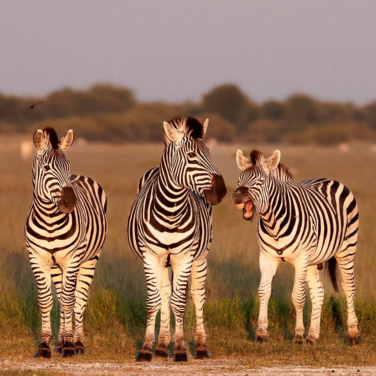 Botswana Destinations