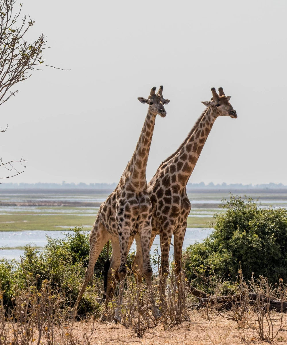 Botswana Destinations