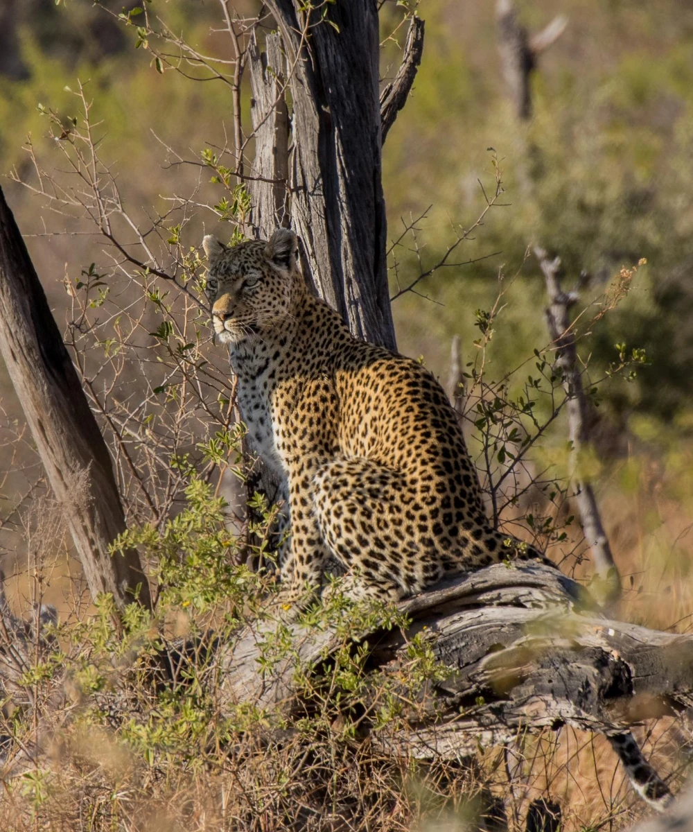 Botswana Destinations