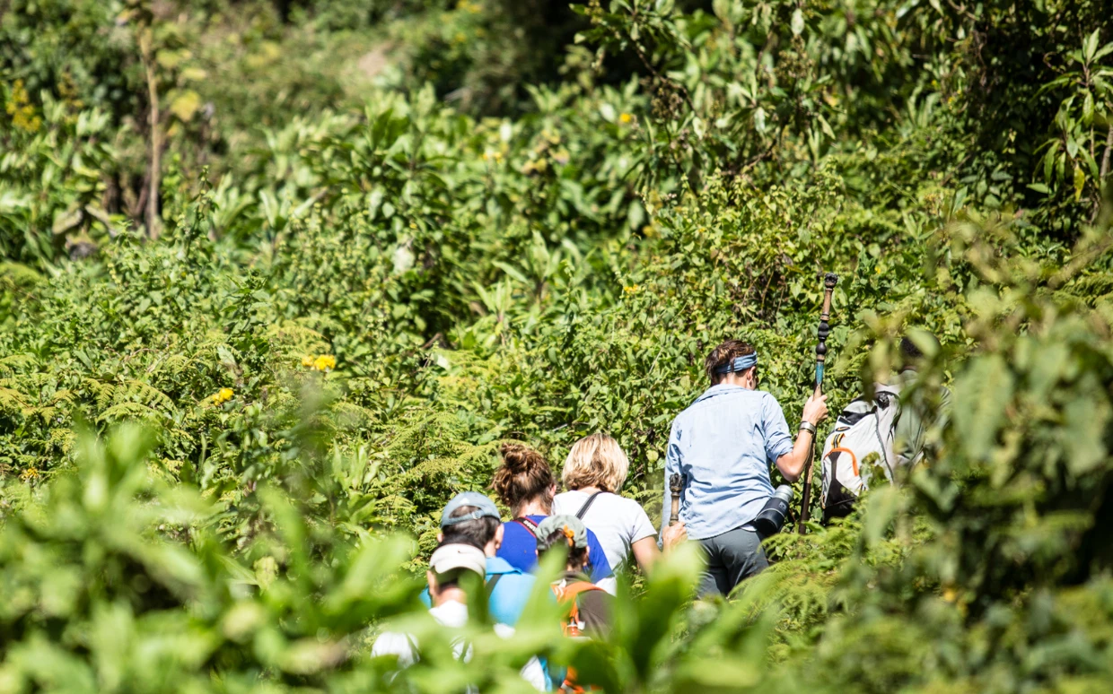 Bwindi National Park