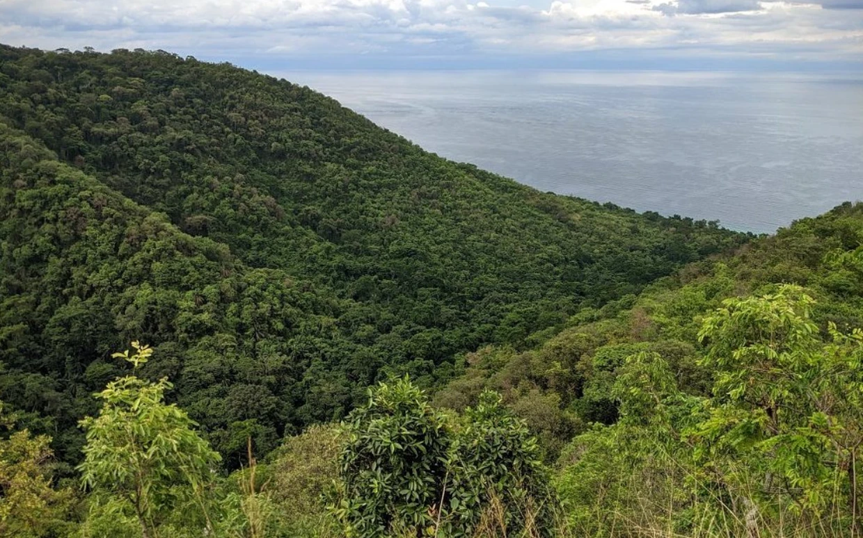 Gombe National Park