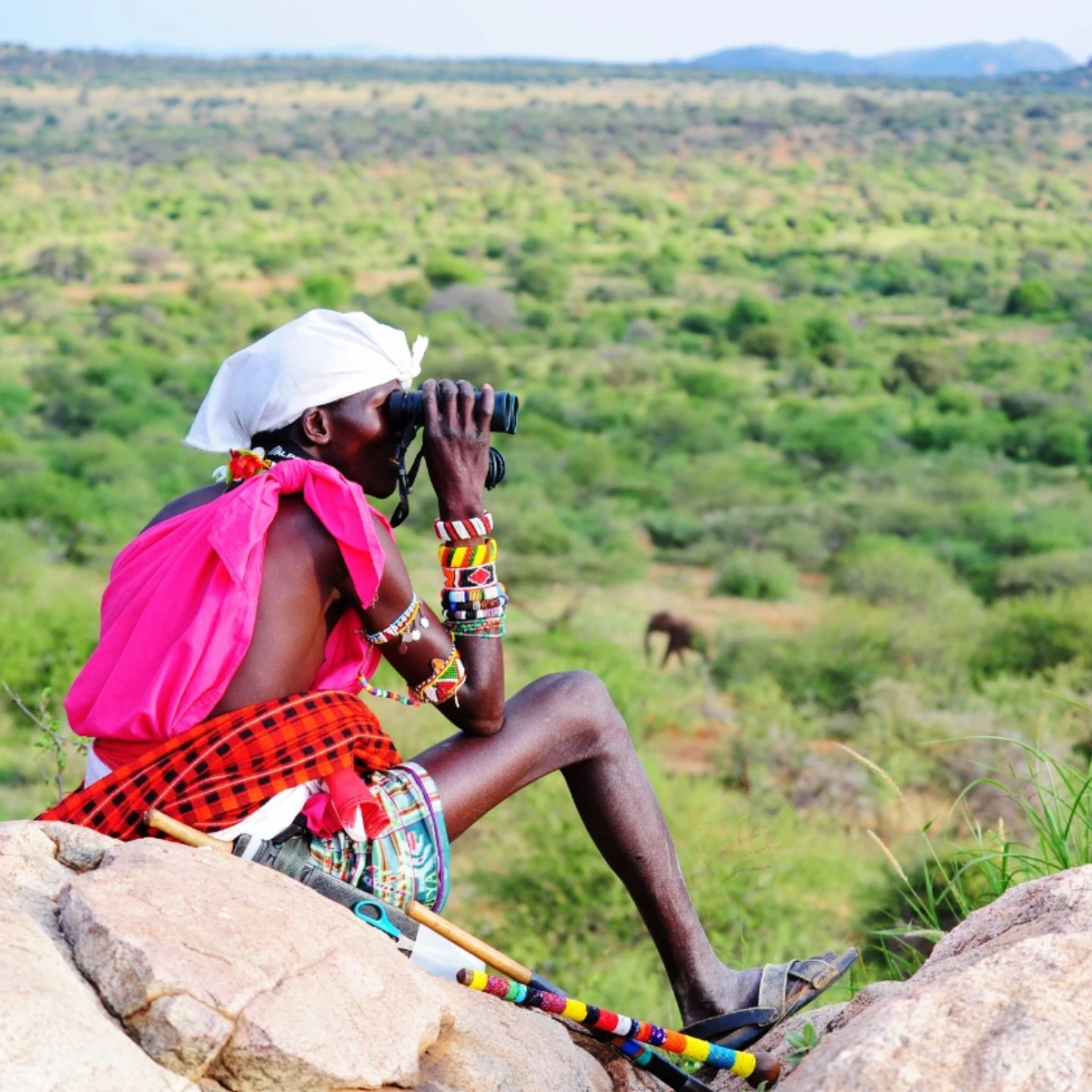 Kenya Safari Attractions