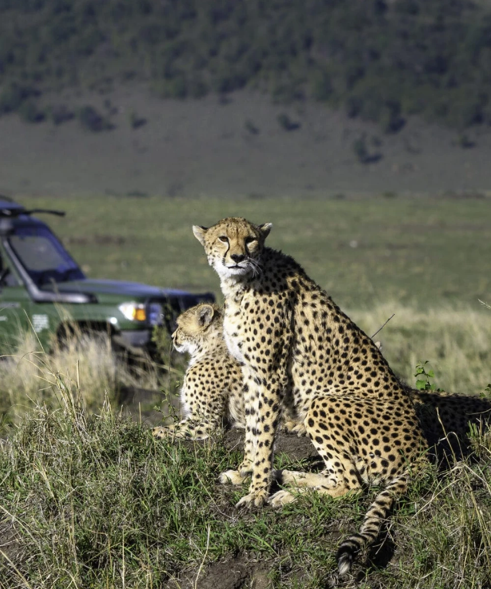 Kenya Wildlife