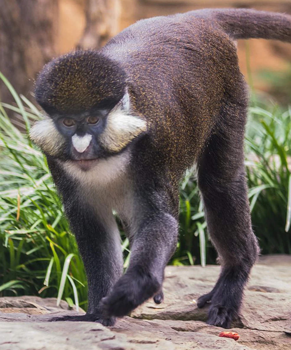 Kibale National Park