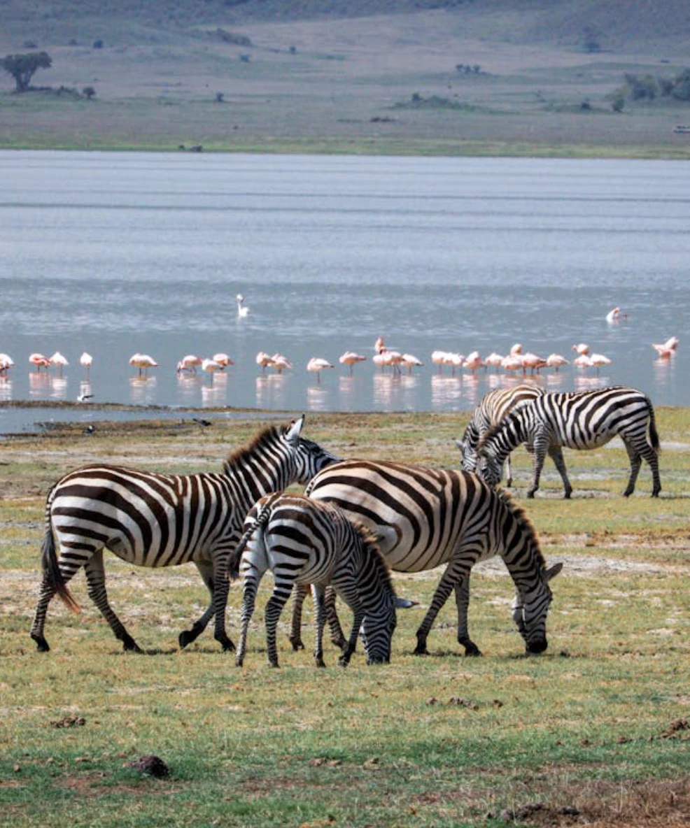 Lake Manyara National Park