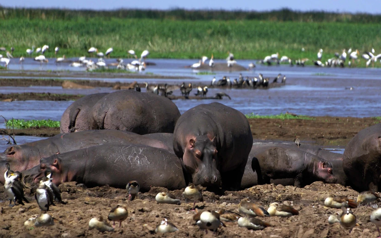 Lake Manyara National Park