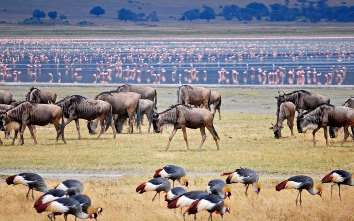 Lake Manyara National Park