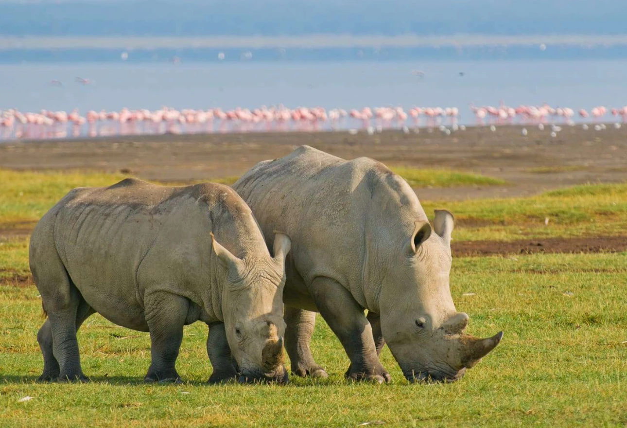Lake Nakuru National Park