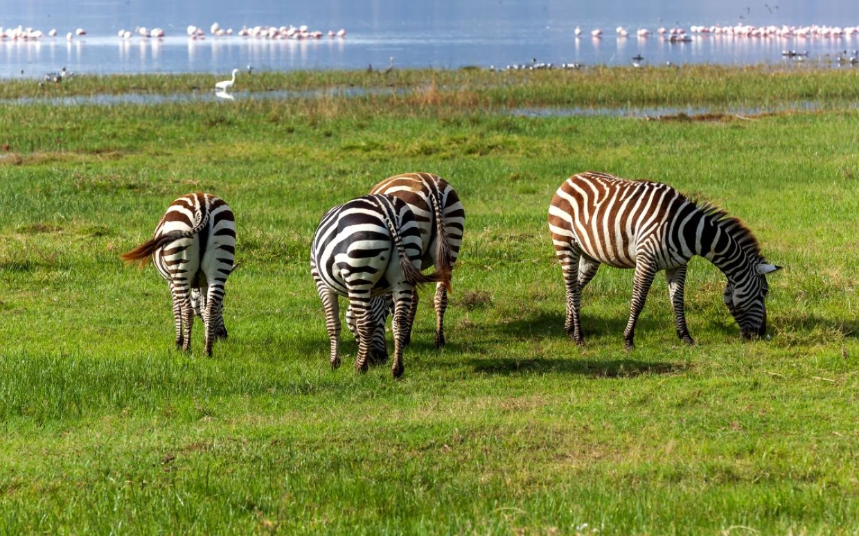 Lake Nakuru National Park