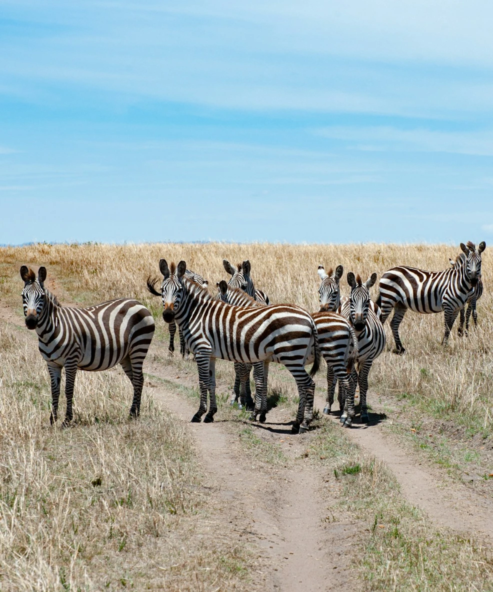 Lake Navisha National Park