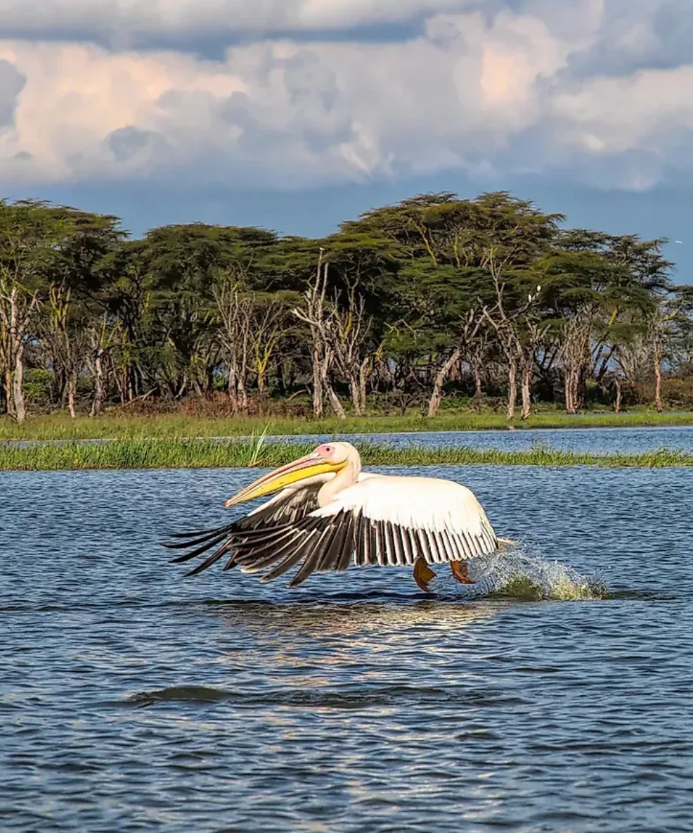 Lake Navisha National Park