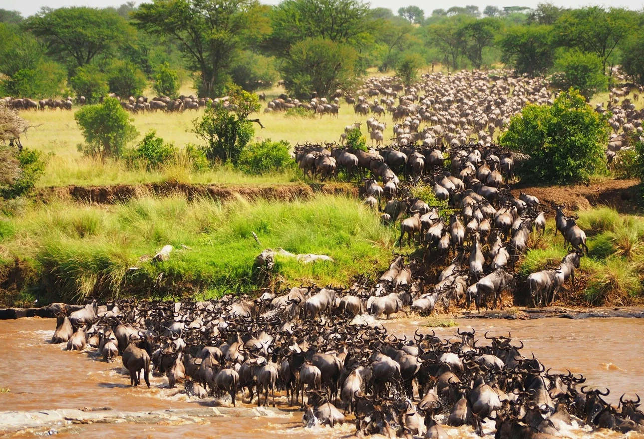 Maasai Mara National Reserve