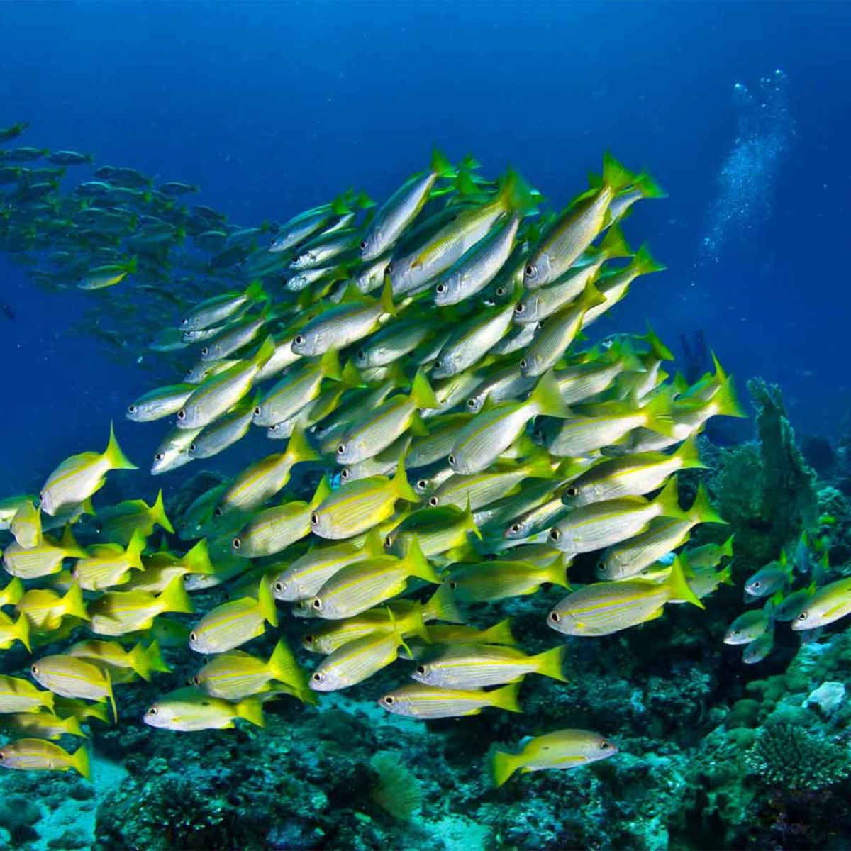 Madagascar Destinations