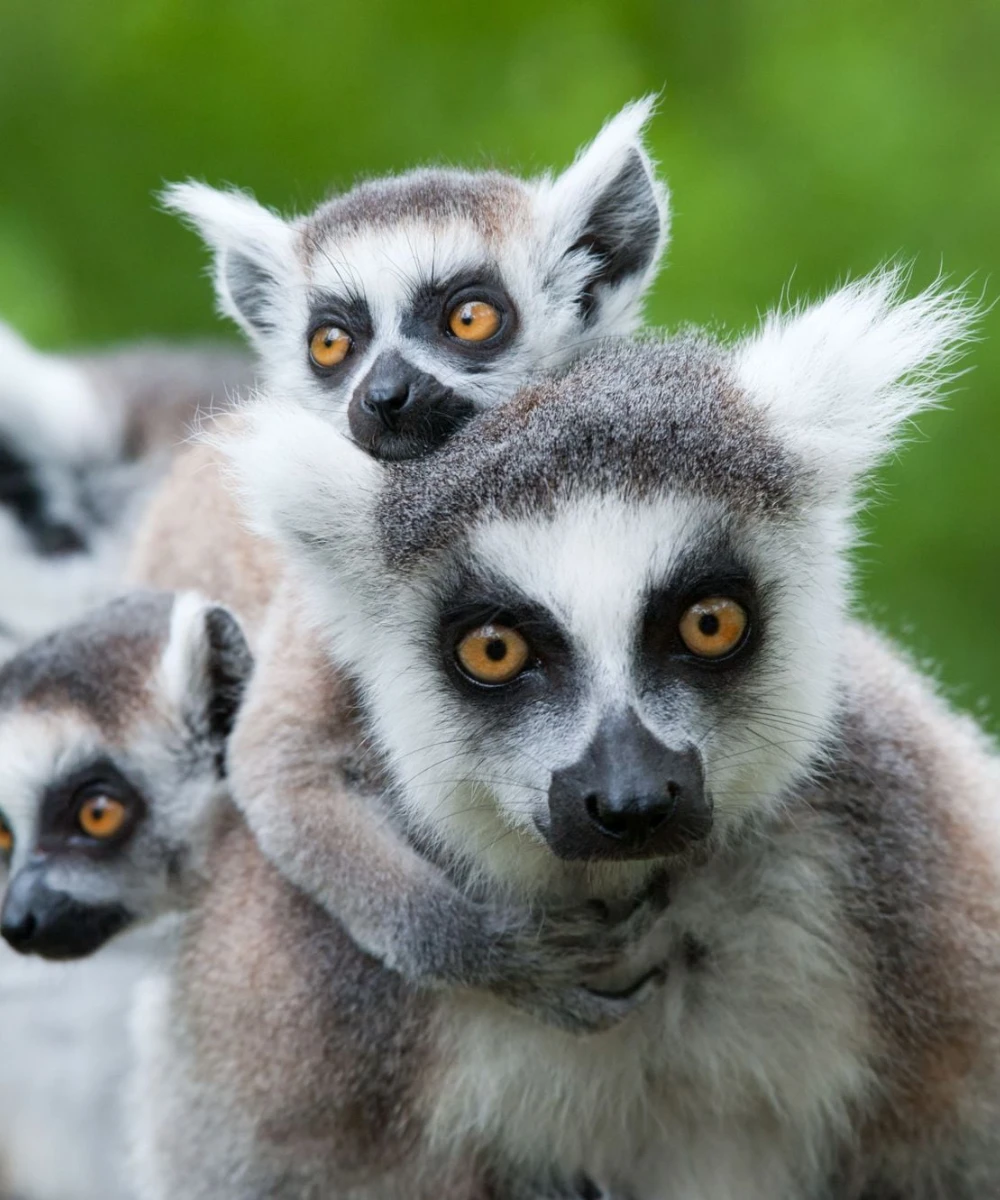 Madagascar Destinations