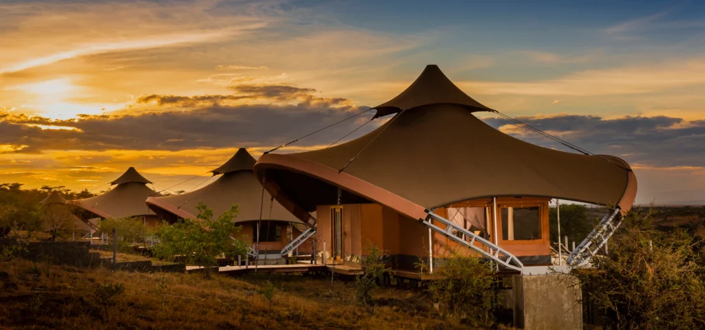 Best Luxury Safari Company in Africa (2026) | Ultimate Guide