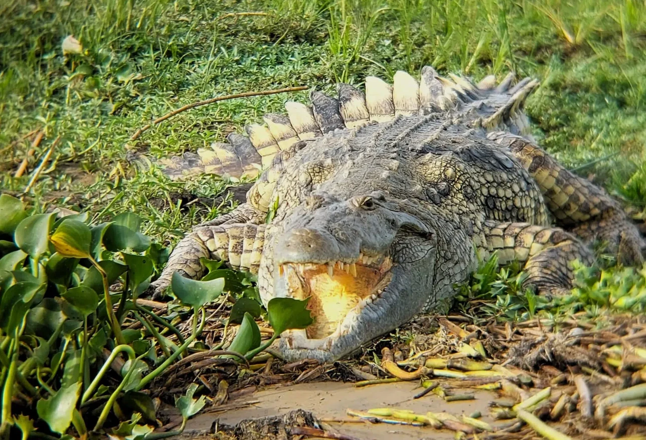Murchison National Park