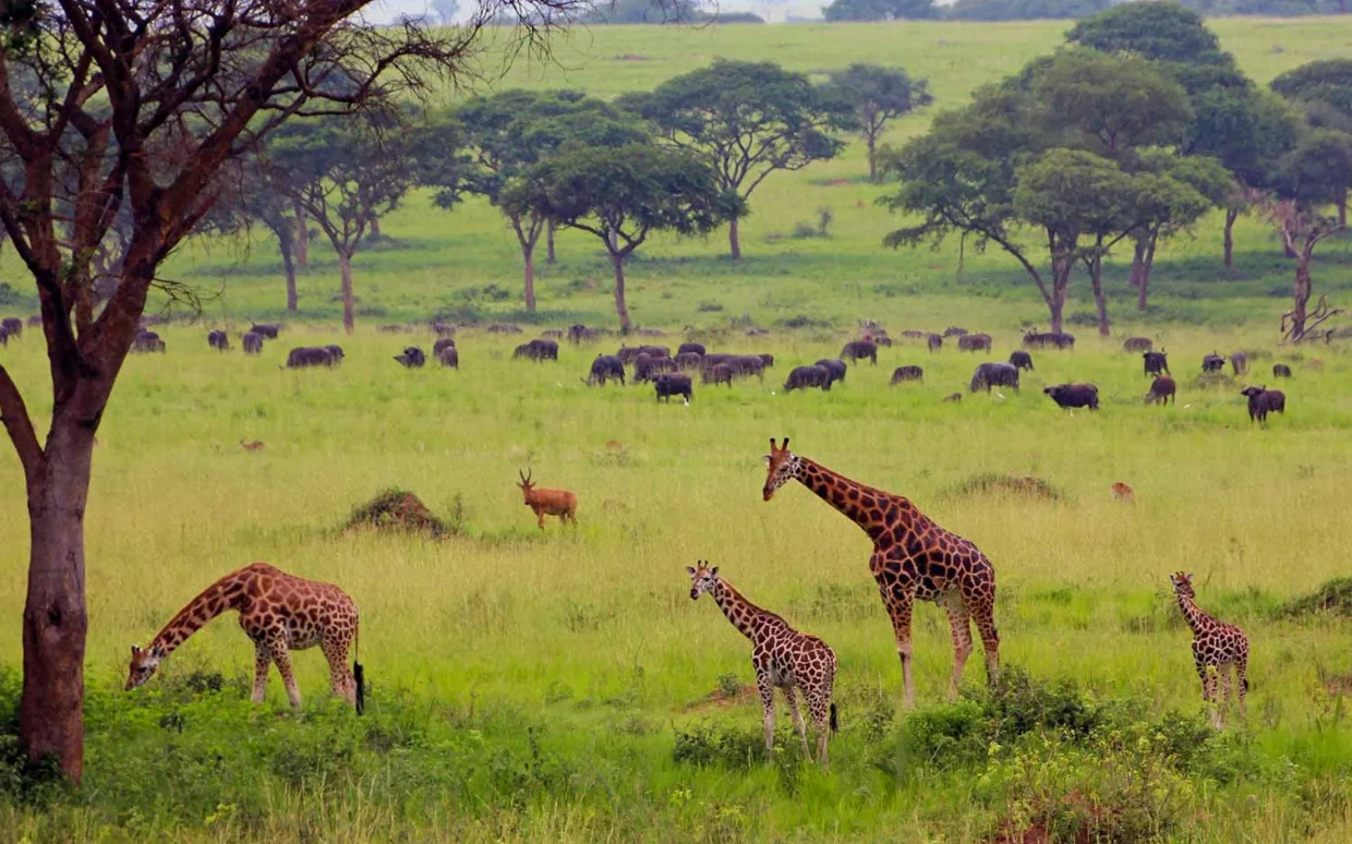 Murchison National Park