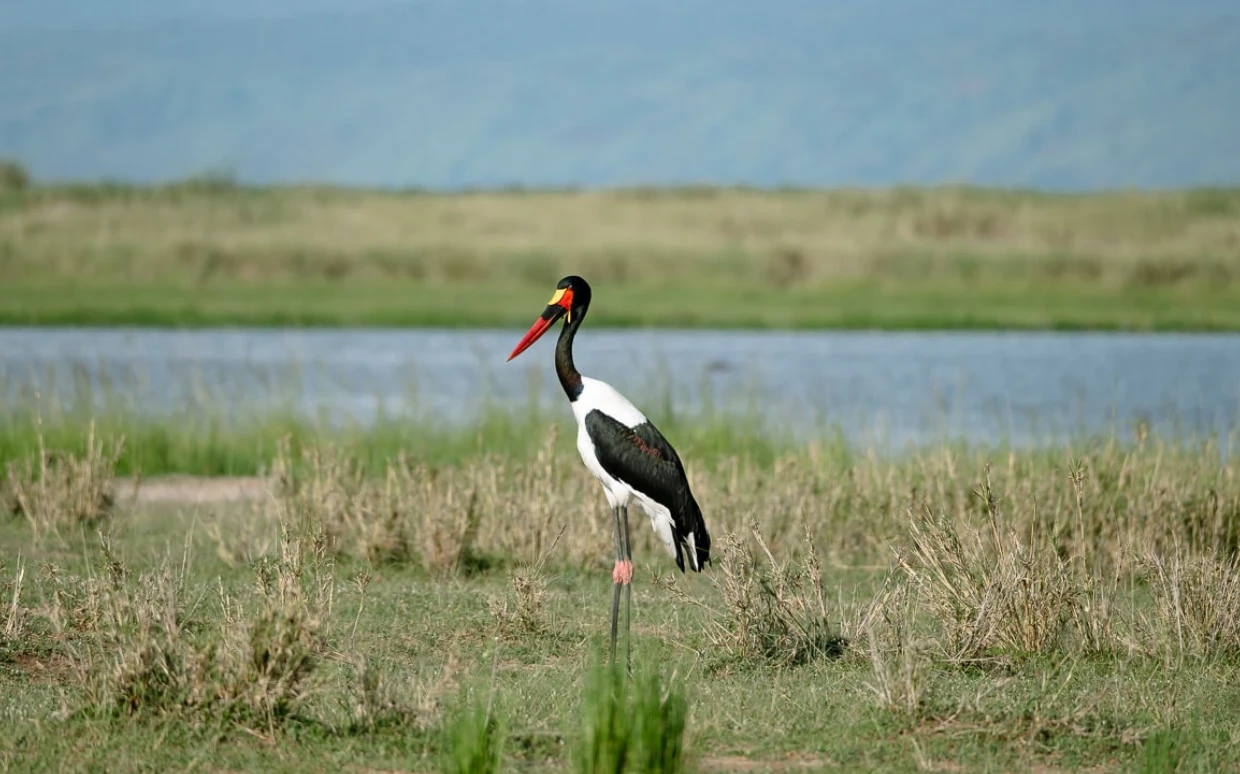 Murchison National Park