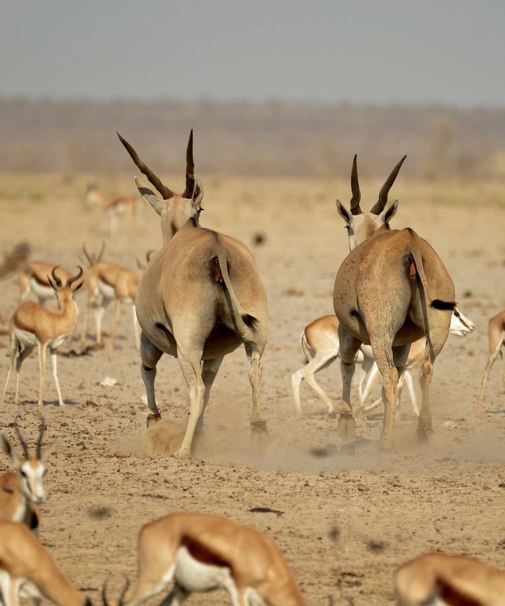 namibia-destinations-4