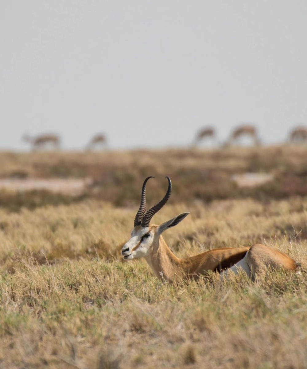 namibia-destinations-5
