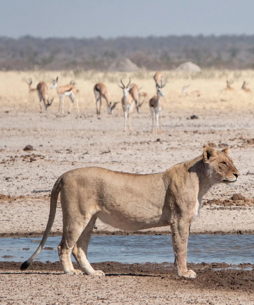 namibia-destinations-6