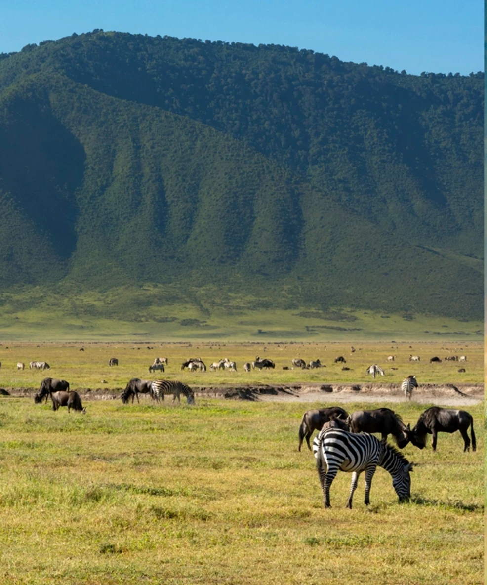 Ngorongoro Crater