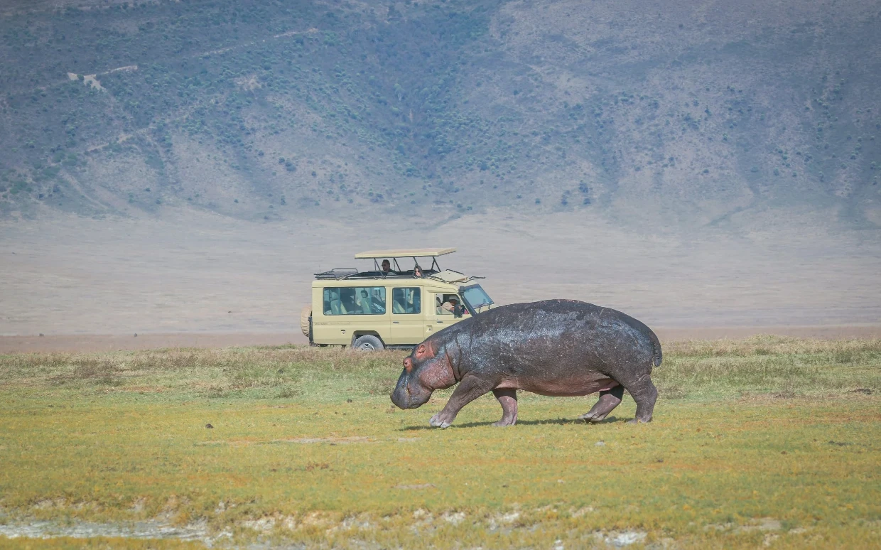 Ngorongoro Crater