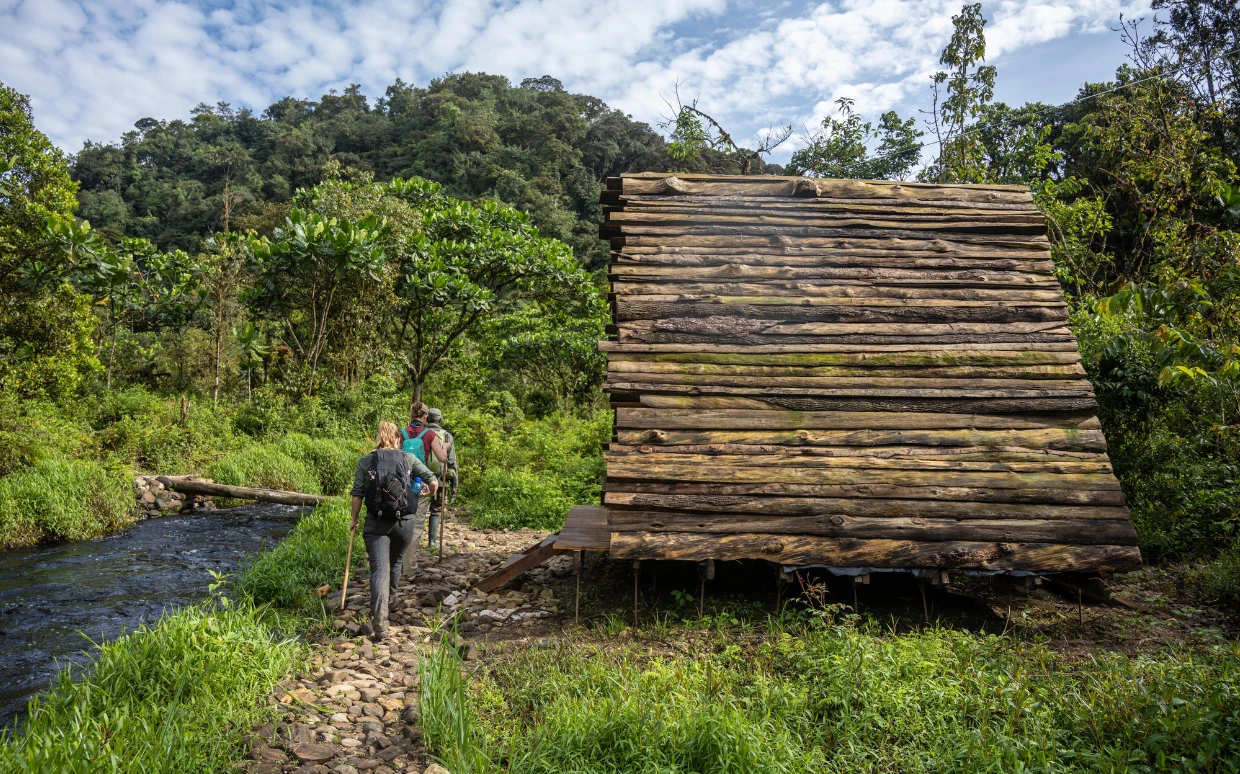 Nyungwe National Park