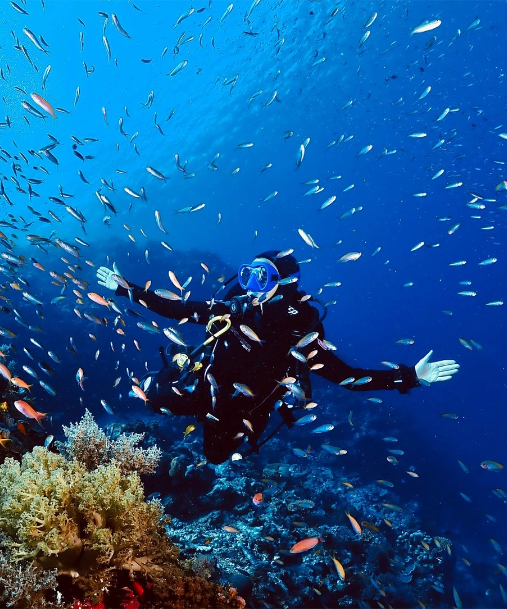 Pemba Island