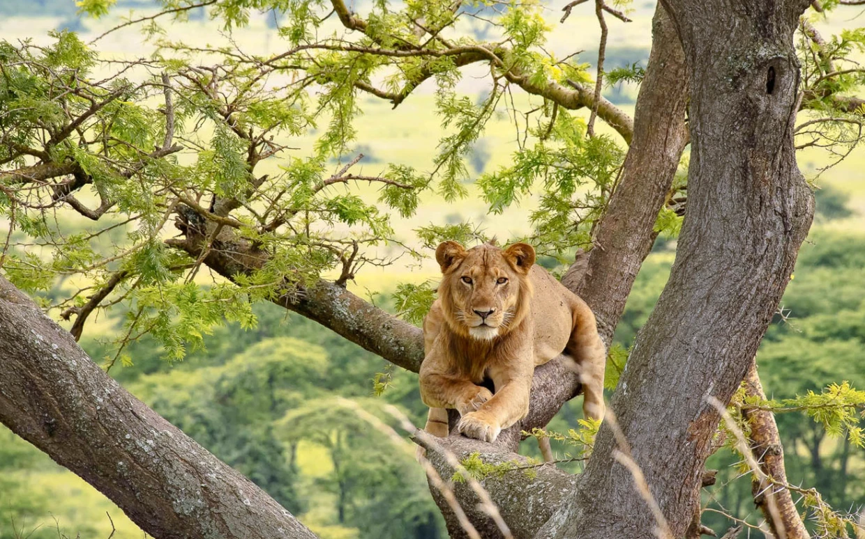 Queen Elizabeth National Park