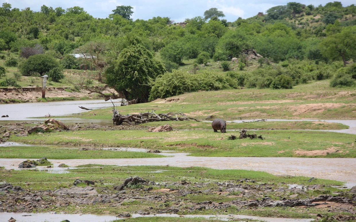Ruaha National Park