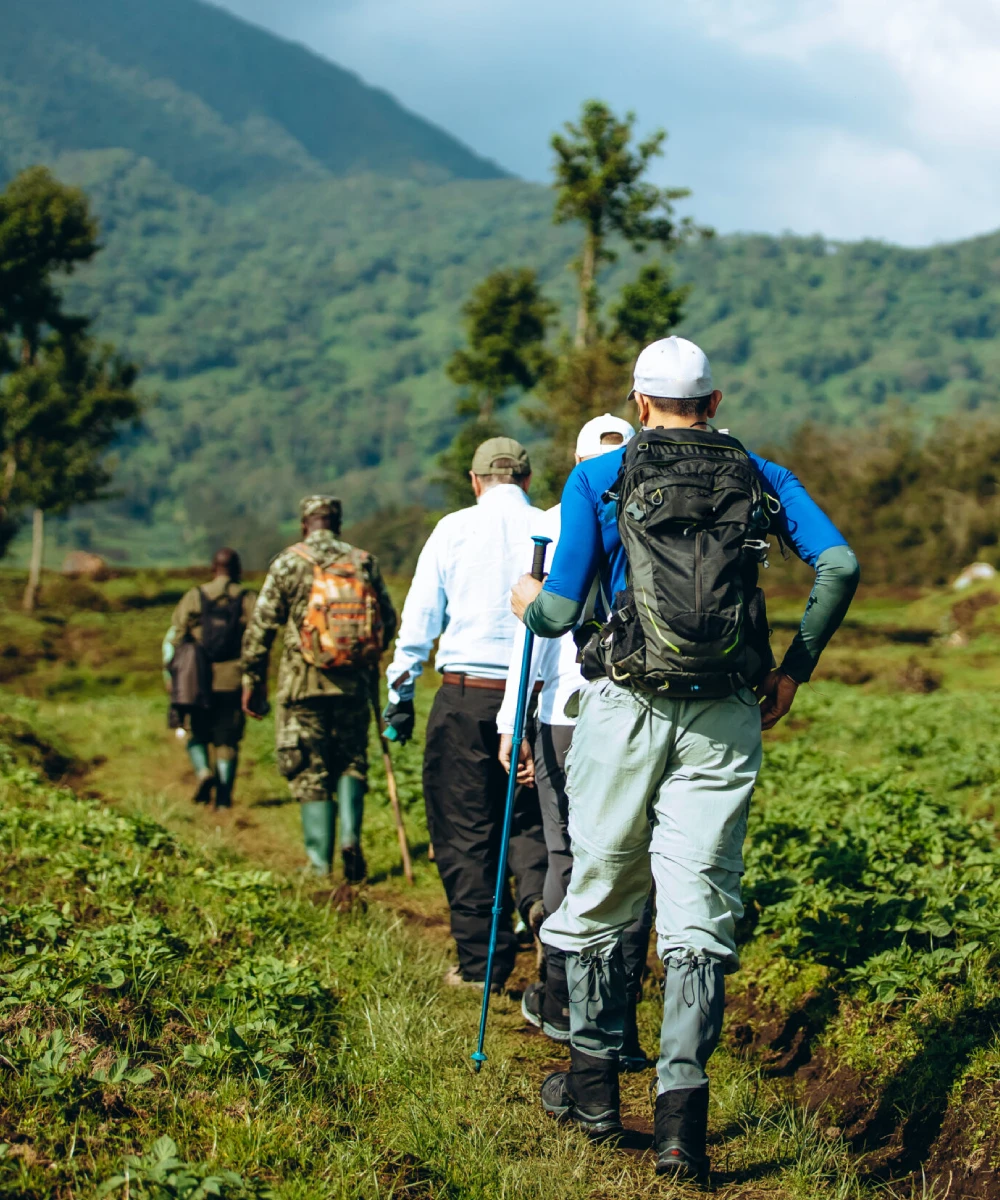 Rwanda Safari