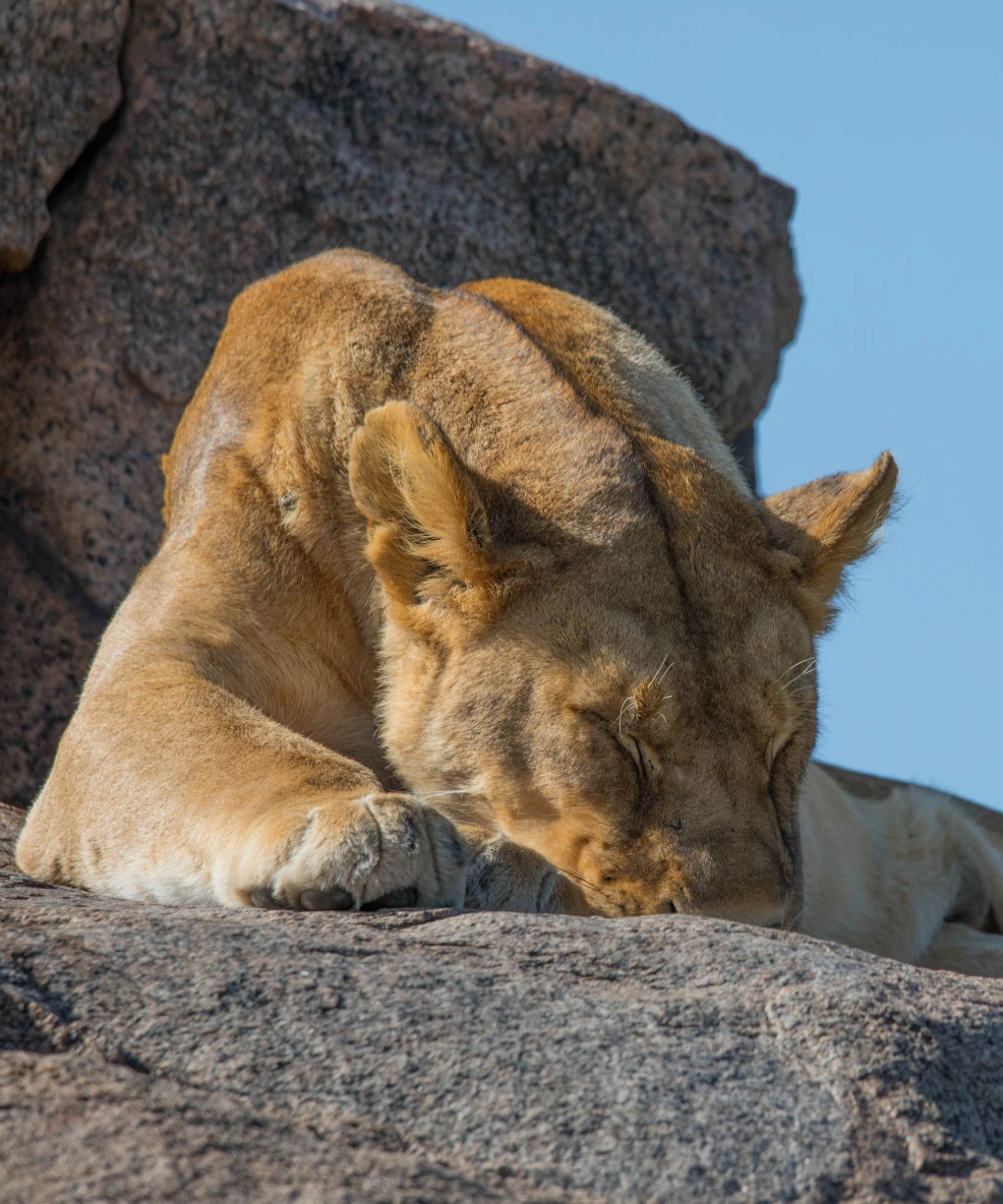 Serengeti National Park
