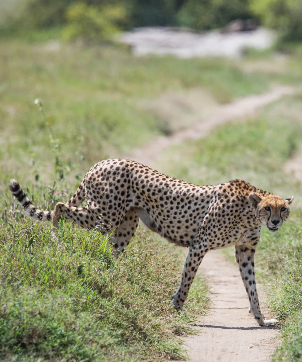 Serengeti National Park