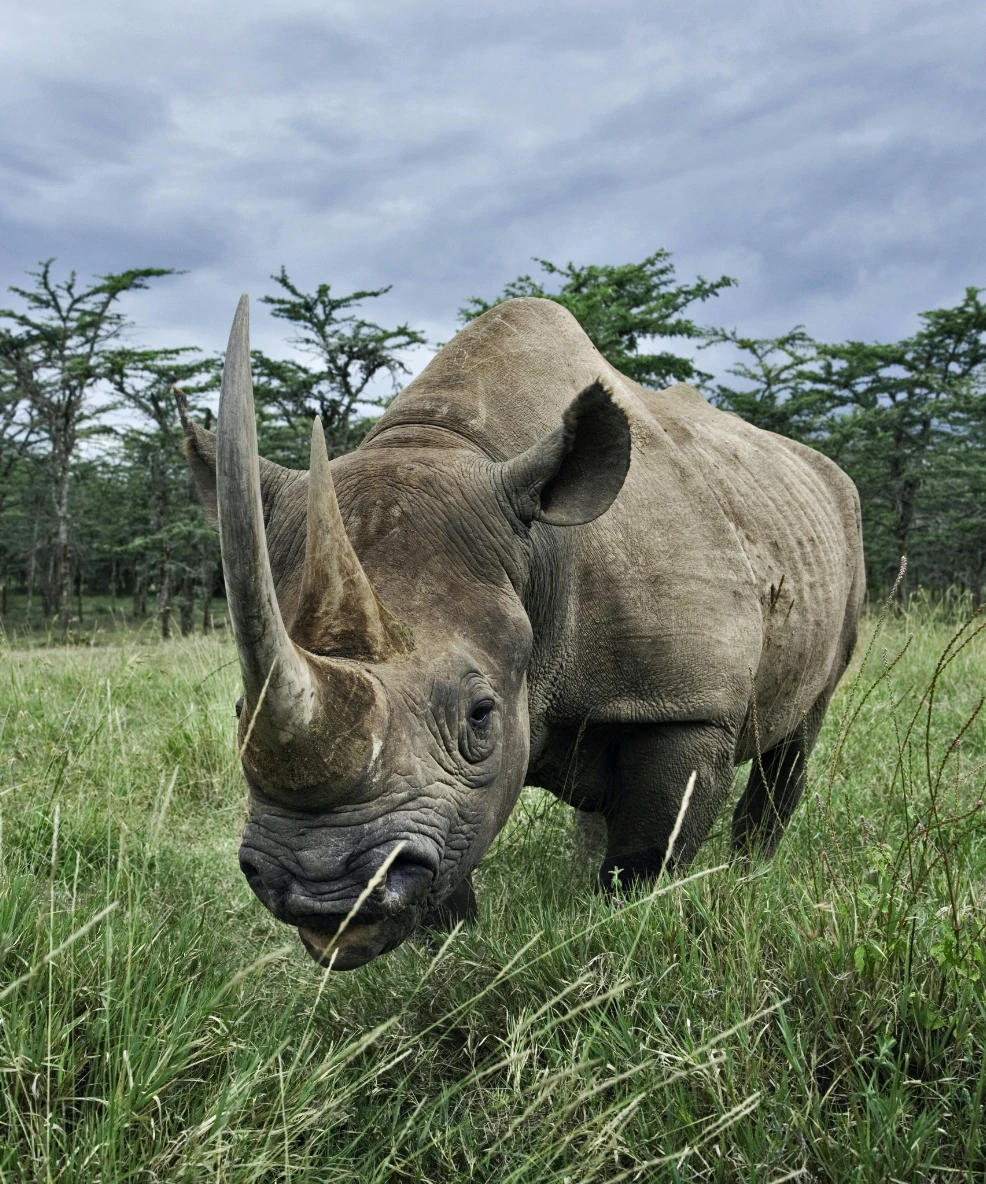 Serengeti National Park